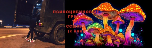 винт Нязепетровск